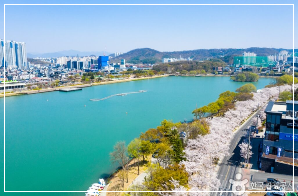대구 가볼만한곳 베스트10 수성못 & 미디어아트 음악분수