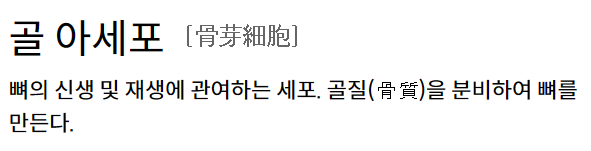 골아세포_다음_한국어사전_이미지