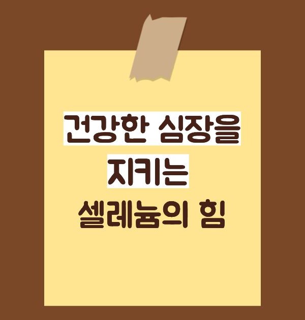 셀레늄 효능