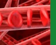 심혈관질환예방