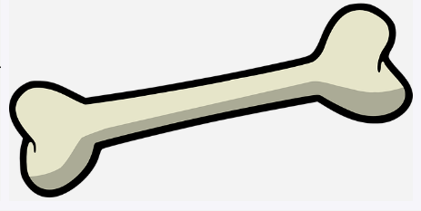 뺘 사진 (출처 : pixabay)