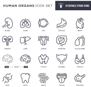 갑상선 기능 저하증 증상