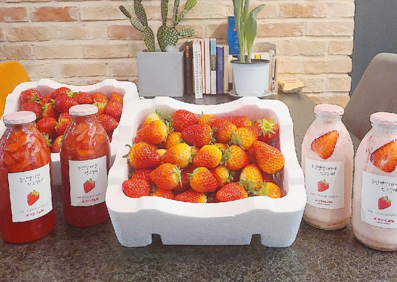 6시내고향 논산화지중앙시장 산딸기라떼