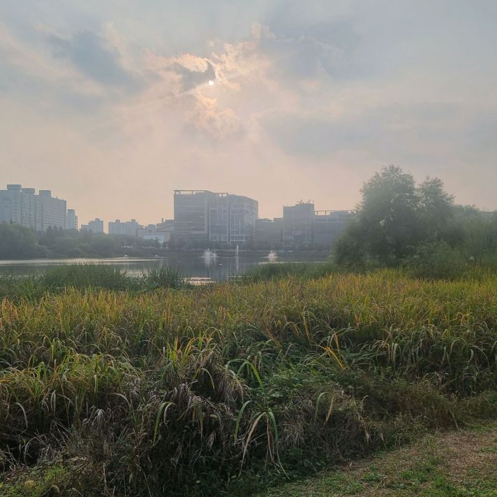 배다리저수지