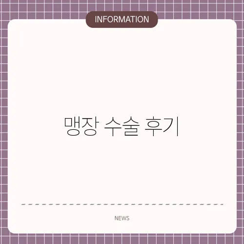 맹장 수술 후기