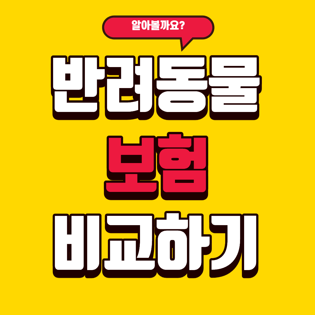 반려동물 보험 비교하여 알아보기