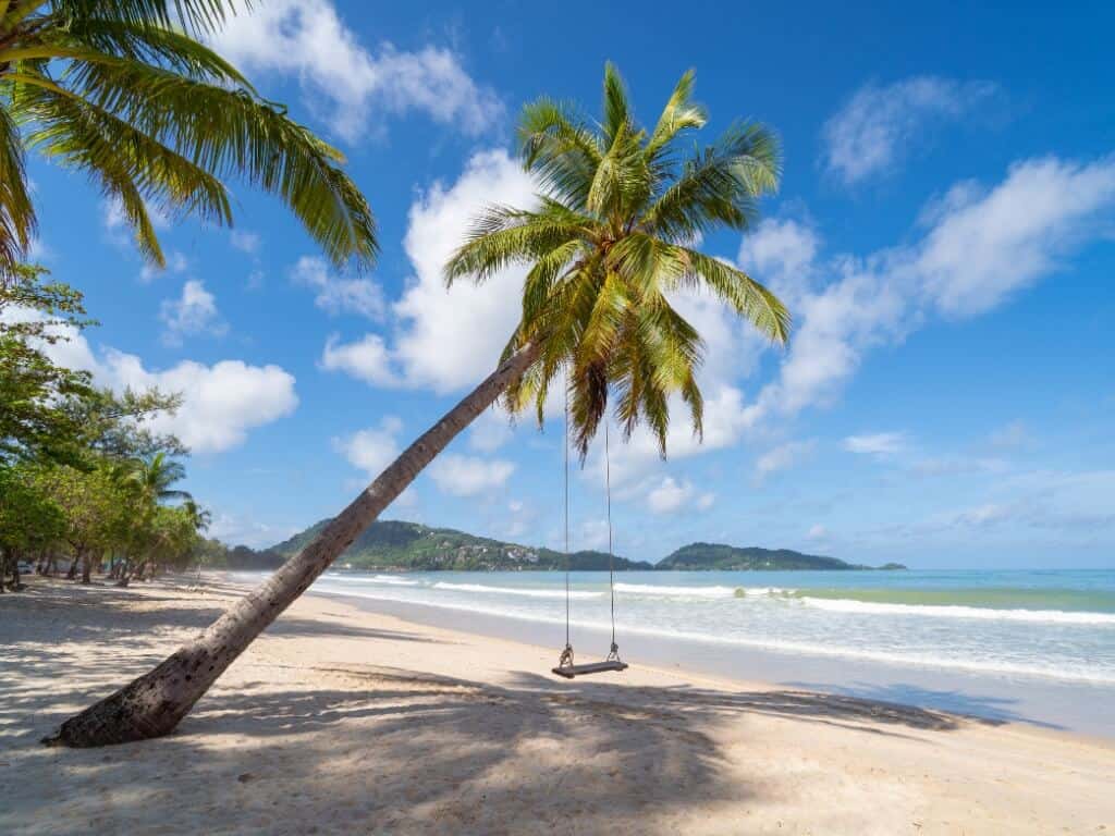 푸켓 관련 사진