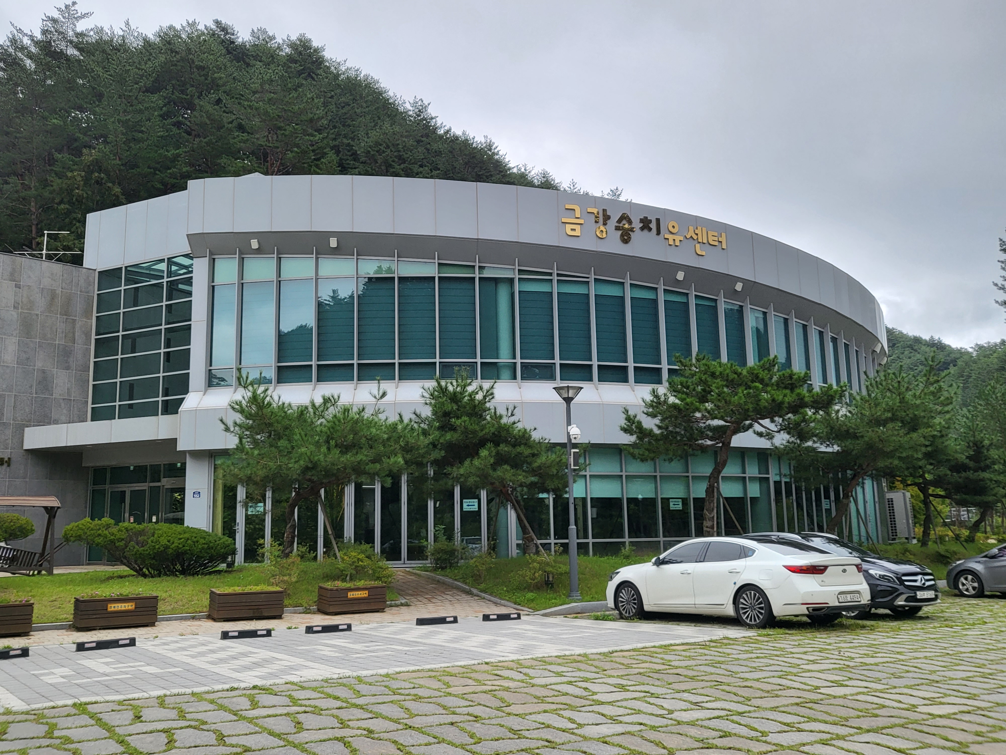 금강송 치유센터