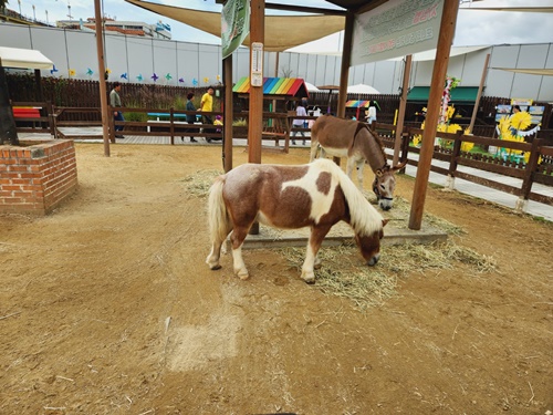 아쿠아플라넷 일산 할인 입장권 저렴한곳 + 다녀온 후기