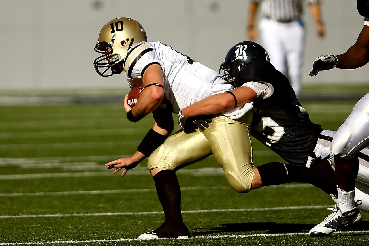 평형과 인체의 운동
