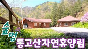 영덕 가볼만한곳 베스트10 - 칠보산 자연 휴양림