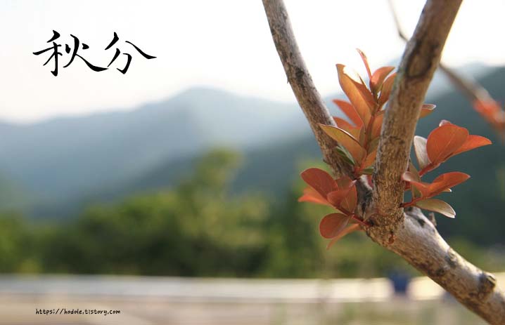 秋分-텍스트-이미지