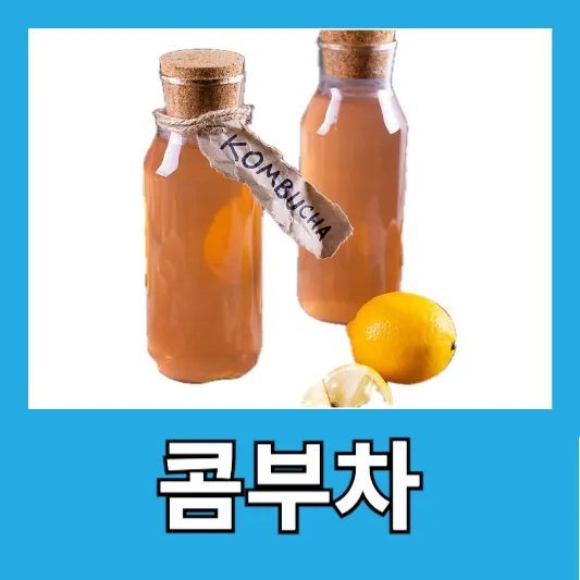 30~40대 직장인 콤부차 효능 칼로리 카페인 콤부차 맛
