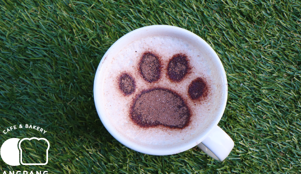 펫캉스 가능한 호텔 BEST 5