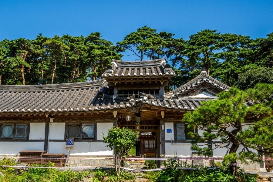 생생정보 믿고 떠나는 스타의 고장