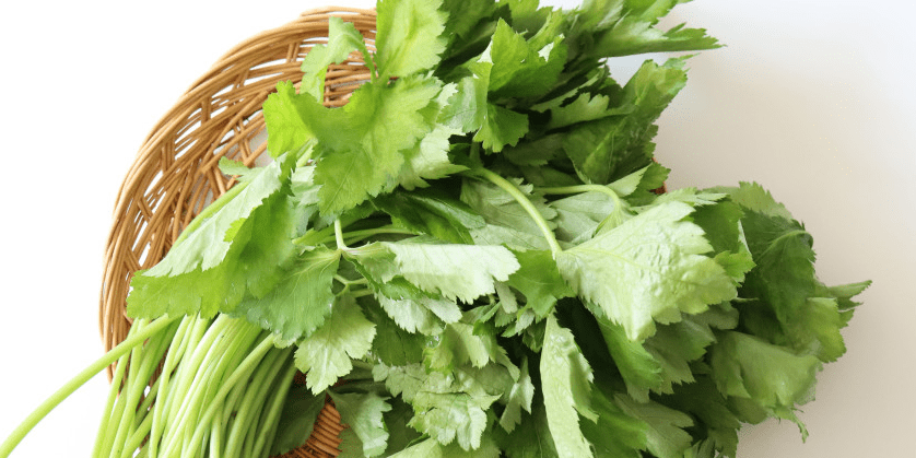 나무 그릇에 깔끔하게 다듬어져 있는 참나물