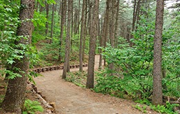 가평 잣향기푸른숲 예약