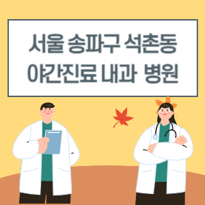 송파구 석촌동 야간진료 내과 병원 리스트 (18시 이후 늦게까지하는 병원)