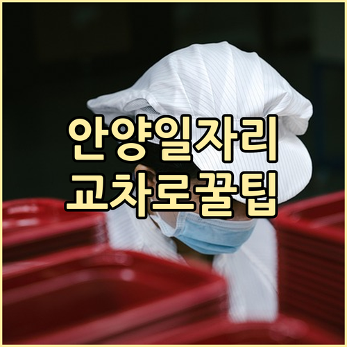 안양 군포 의왕 일자리 찾기 안양 교..