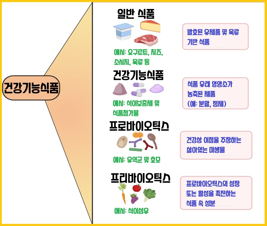 건강기능식품의 효능