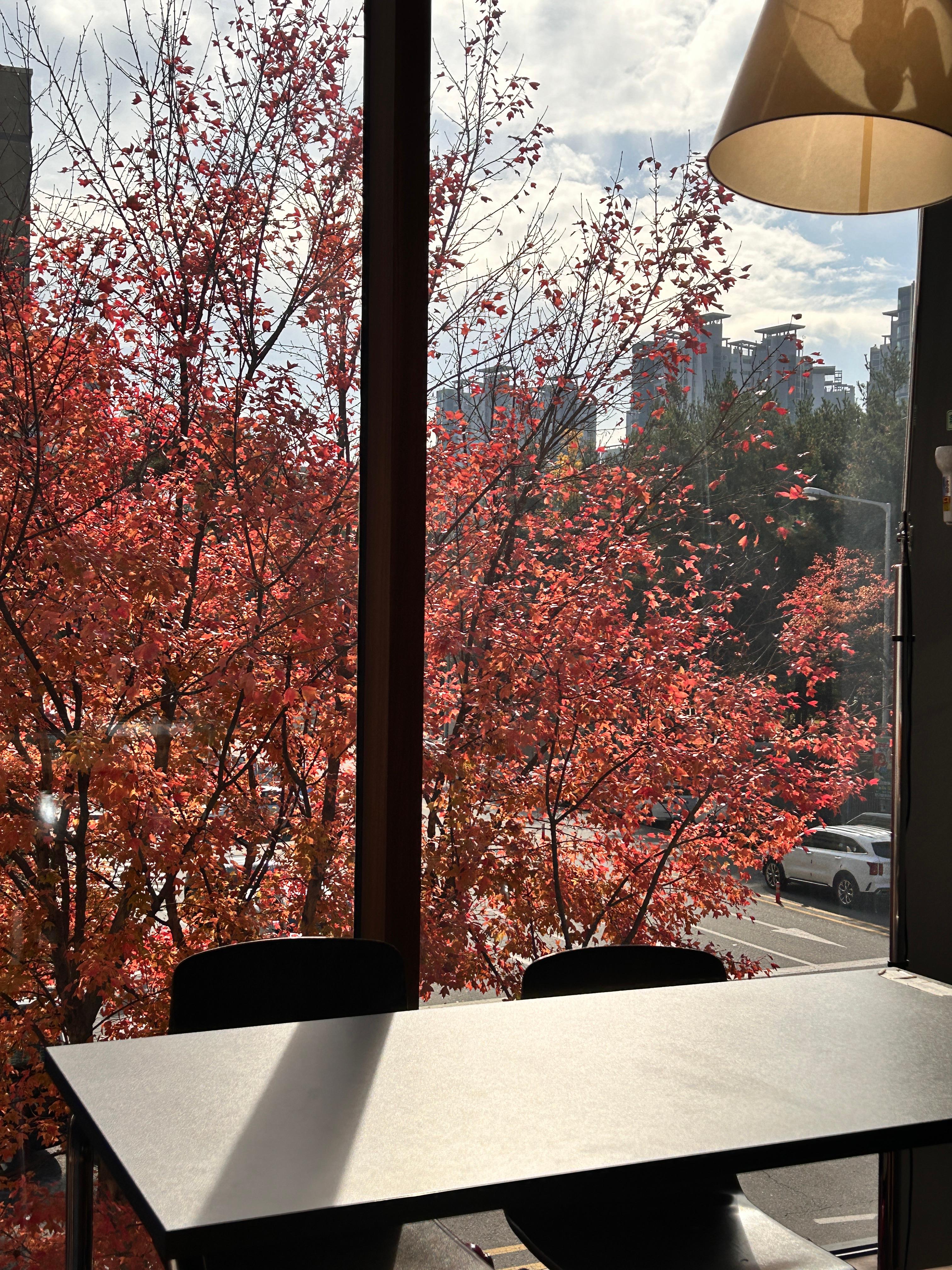 MLMC-감성적인-풍경