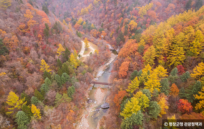 평창 오대산 선재길 드론샷