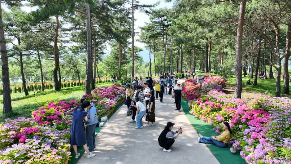 Colorful Garden 자라섬 꽃 페스타