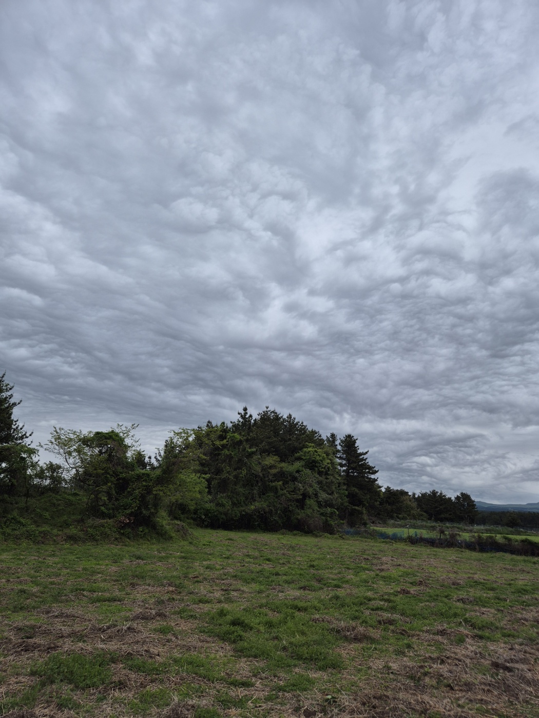 기초연금 2025 신청방법과 자격조건, 월 최대 얼마까지 받을까?