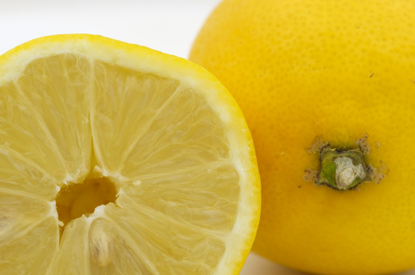 면역력 강화 음식