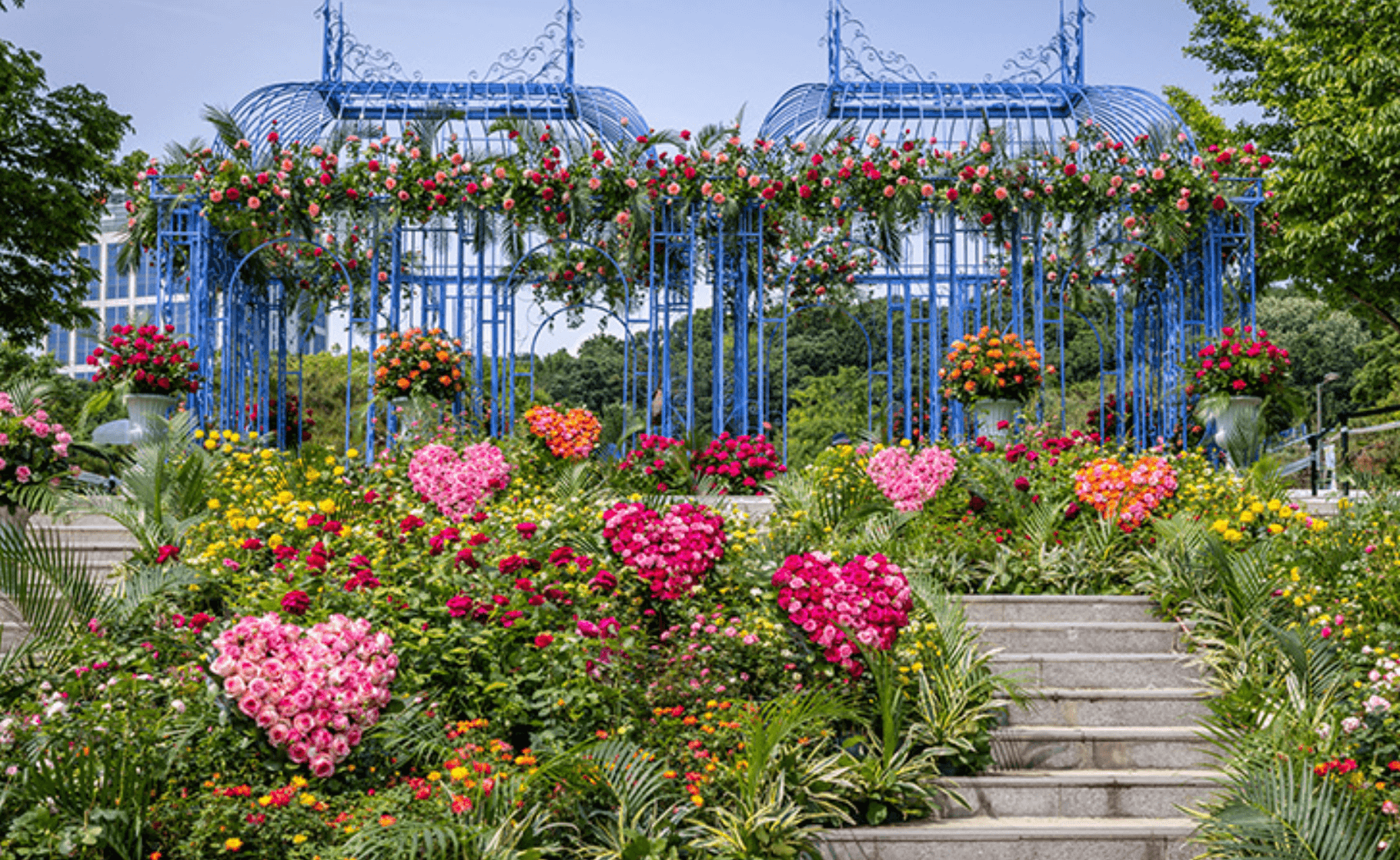 2025 서울국제정원박람회 개막 & 도심 속 12만 평 초록 물결! 🌿