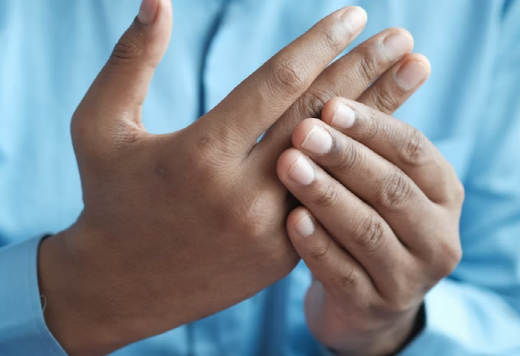 장어 효능 칼로리