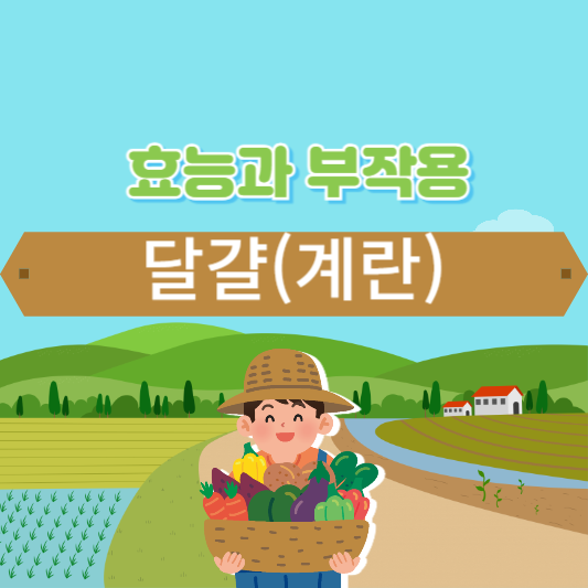 달걀(계란)