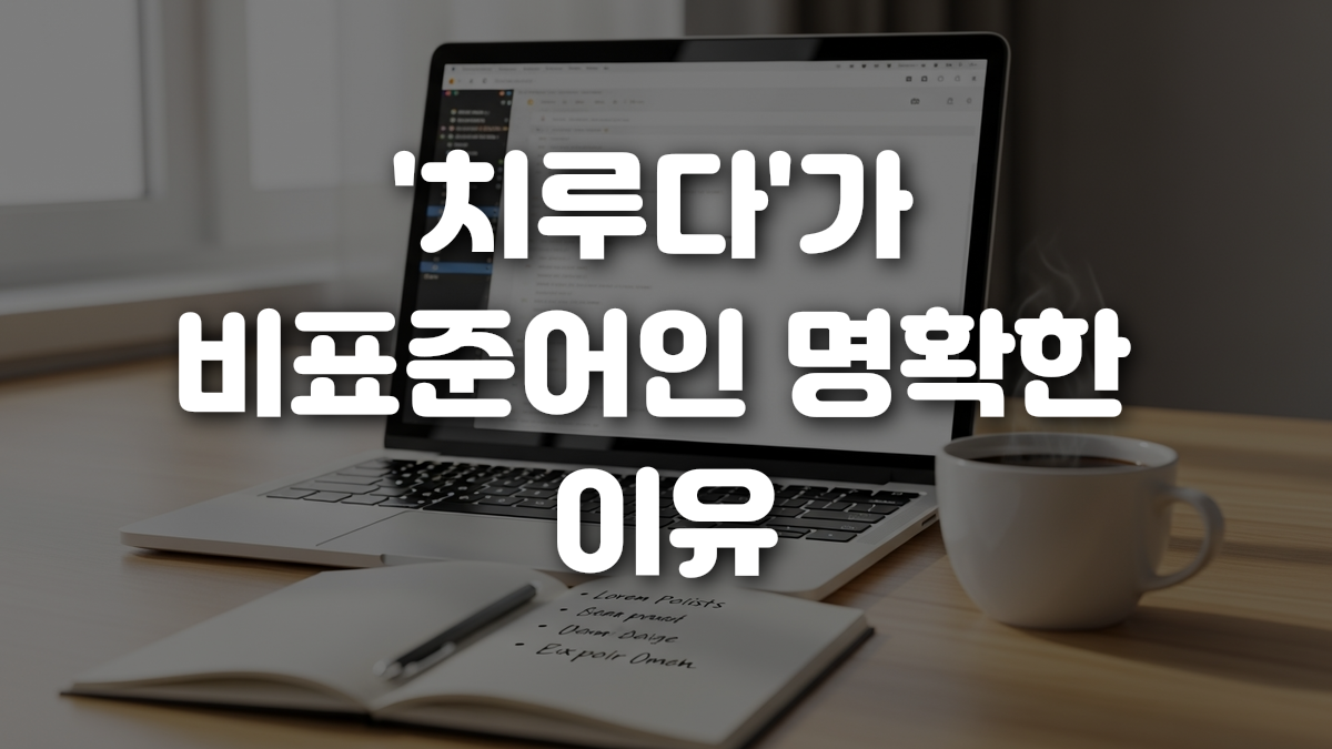 치루다 가 비표준어인 명확한 이유