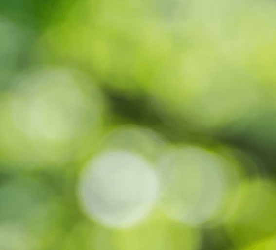 녹내장 초기증상 - 시력 감소