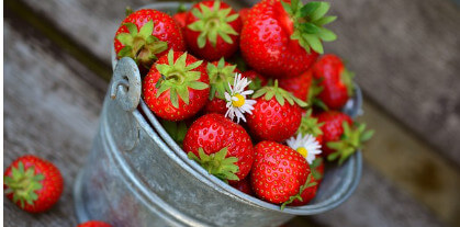 카무트효소 효능 부작용