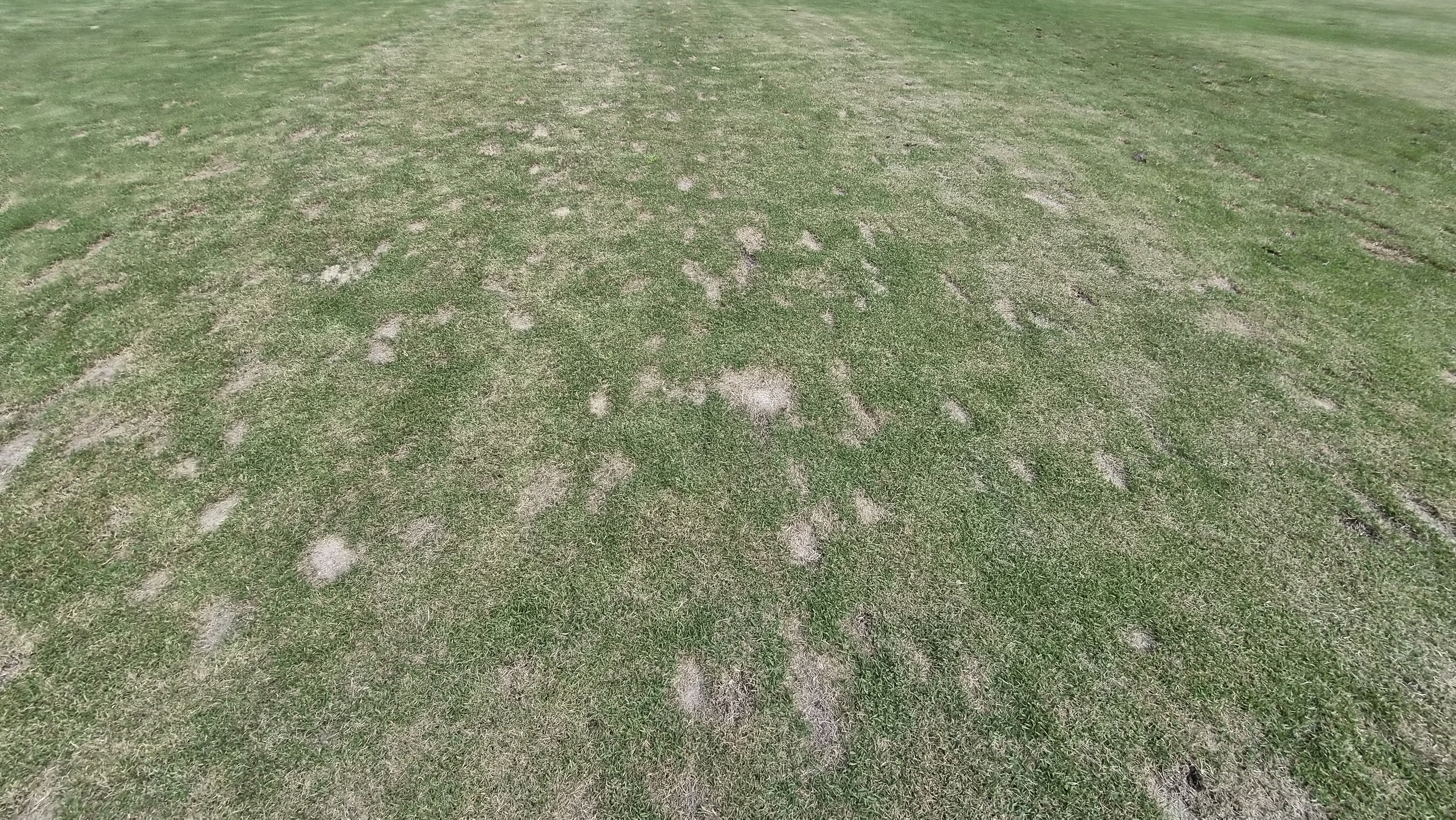 포웰cc 프린세스 라운드 후기