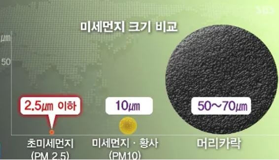 미세먼지 크기 비교