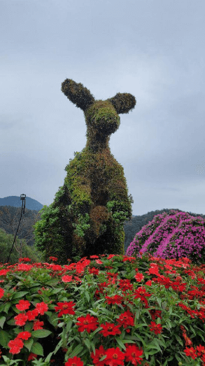 가평 가볼만한 곳 베스트10