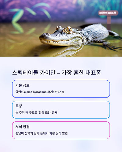 가장 흔한 대표종