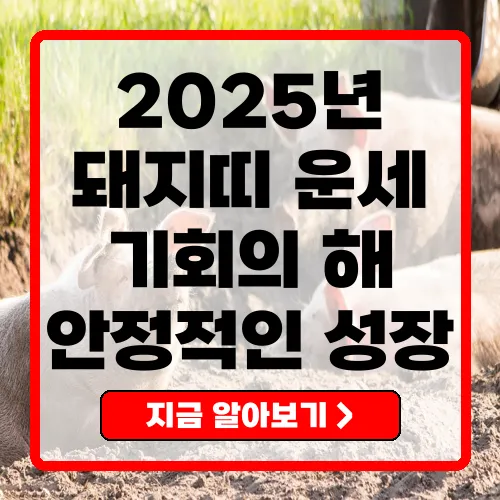 2025년 돼지띠 운세 기회의 해와 안정적인 성장