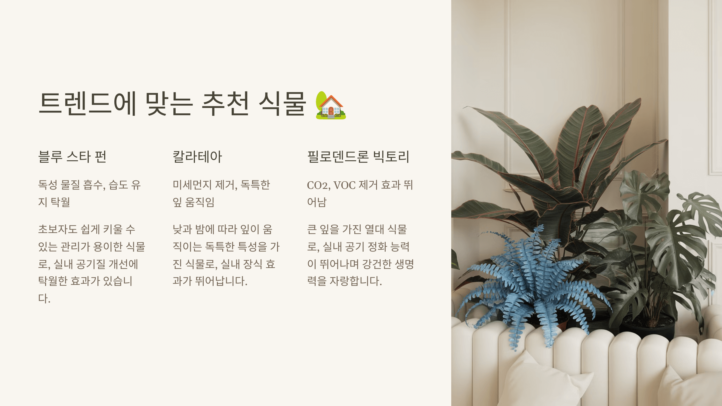 트렌드에 맞는 추천 식물