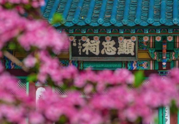 충남 가볼만한 곳 베스트10