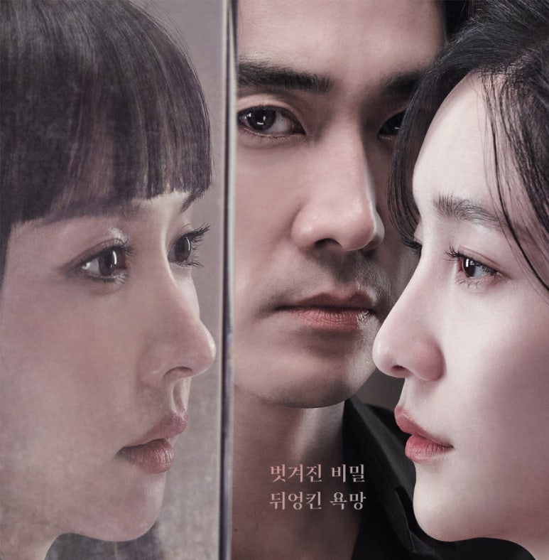영화 히든페이스 포스터
