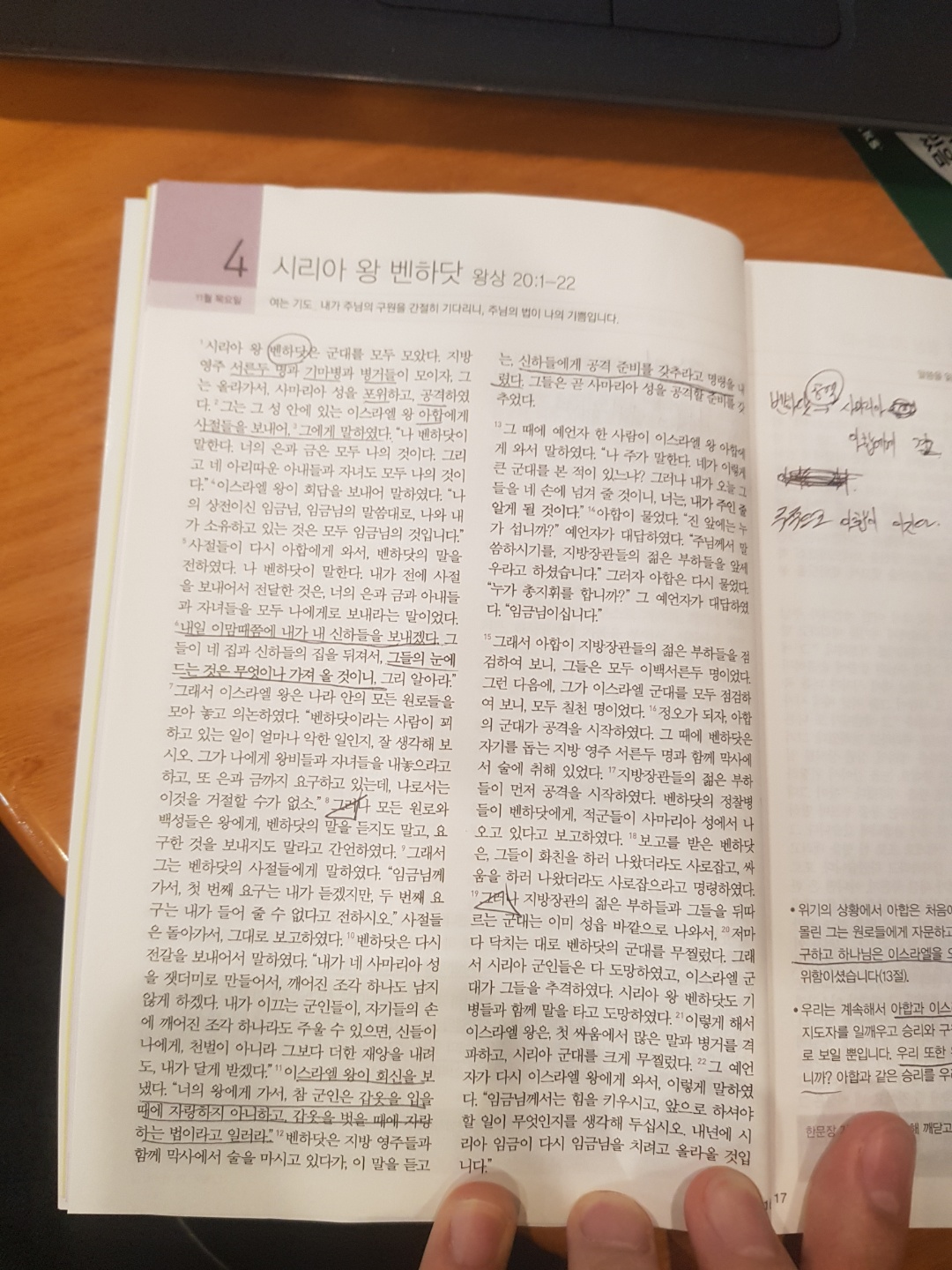 211104 시냇가에 심은 나무