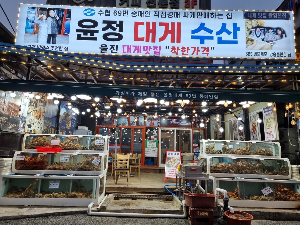 울진 후포항 맛집