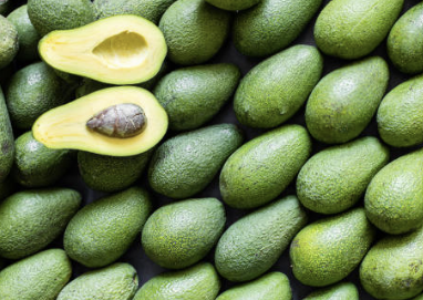 아보카도 효능 먹는 방법 오일 보관법 등 확인