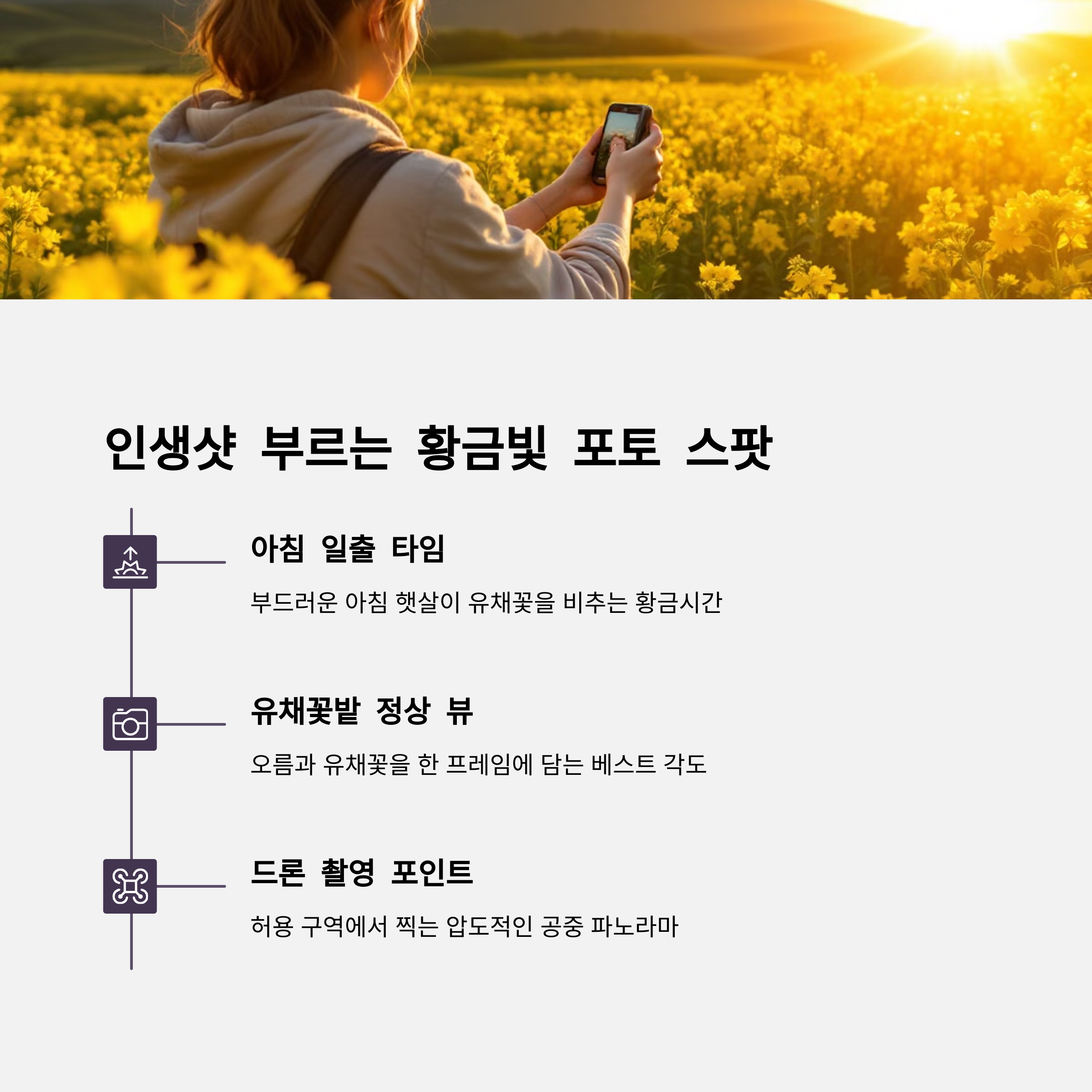 새별오름 유채꽃 포토스팟