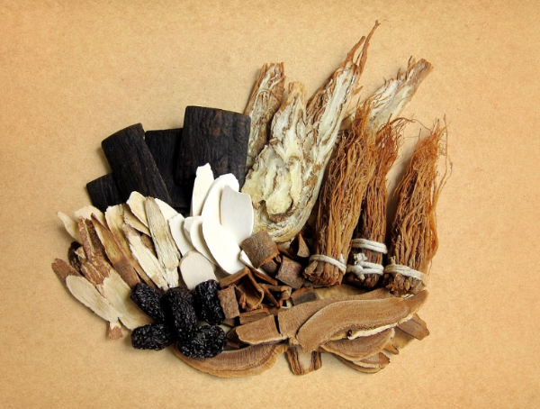 임산부 면역력 회복을 위한 다양한 한약재 재료 이미지