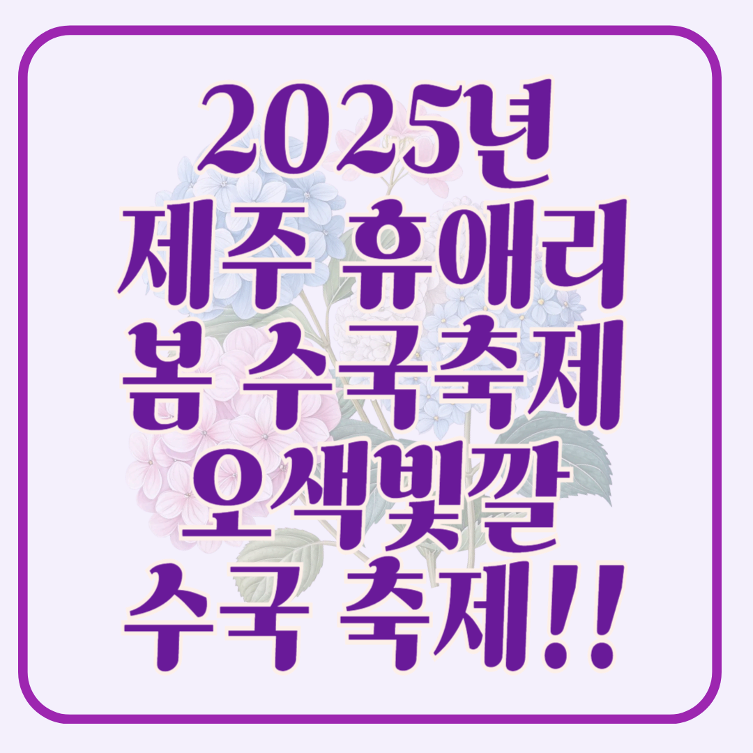 2025년 휴애리 봄 수국축제 완벽 가이드 오색빛깔 아름다운 수국 축제!!