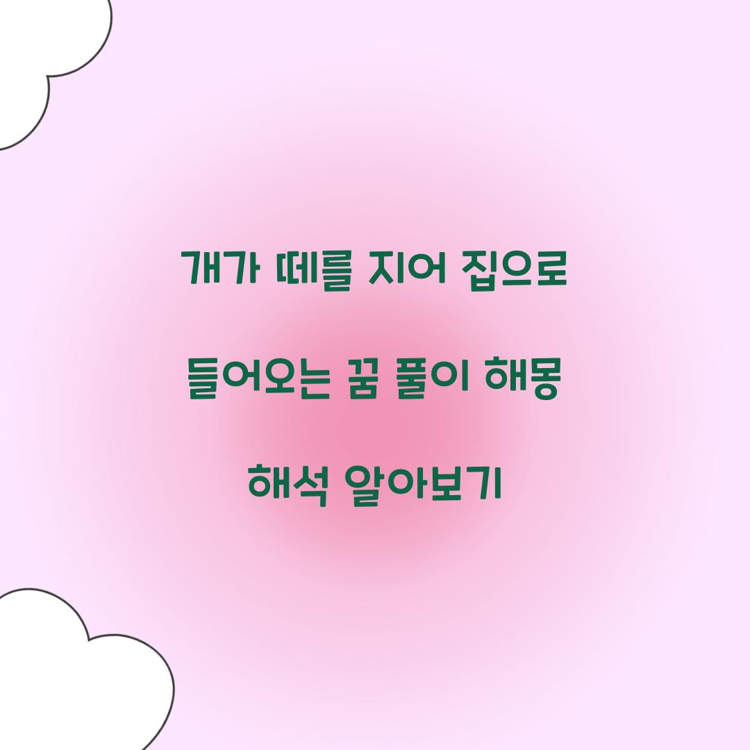 개가 떼를 지어 집으로 들어오는 꿈 풀이 해몽 해석